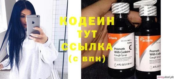 стафф Тайга
