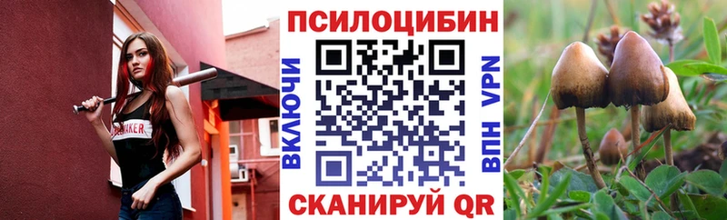 Купить закладки  Белая Холуница  Псилоцибиновые грибы мухоморы 